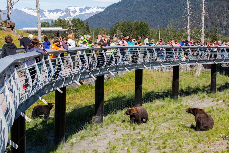 alaska wildlife conservation center tours