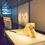 anchorage museum polar bear
