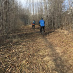 Girdwood bike trails Lower Iditarod Trail 2