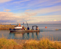 Kodiak Island Deer Hunt Transport Boat pic 25