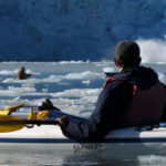 alaska sea kayaker 2