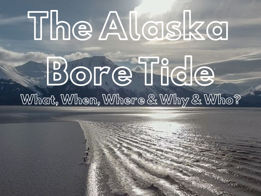 Bore Tide Information and viewing schedule