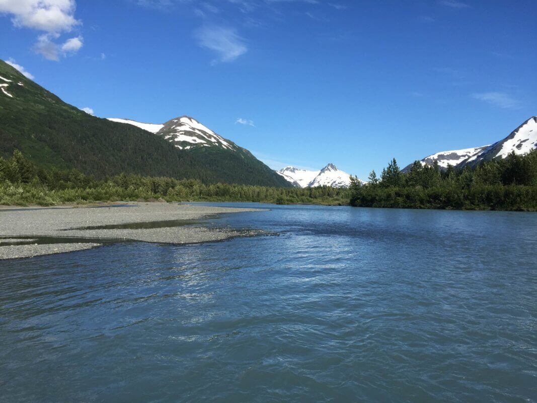 ADVENTURE GURU Paddle Boarding Portage Creek, Portage Valley